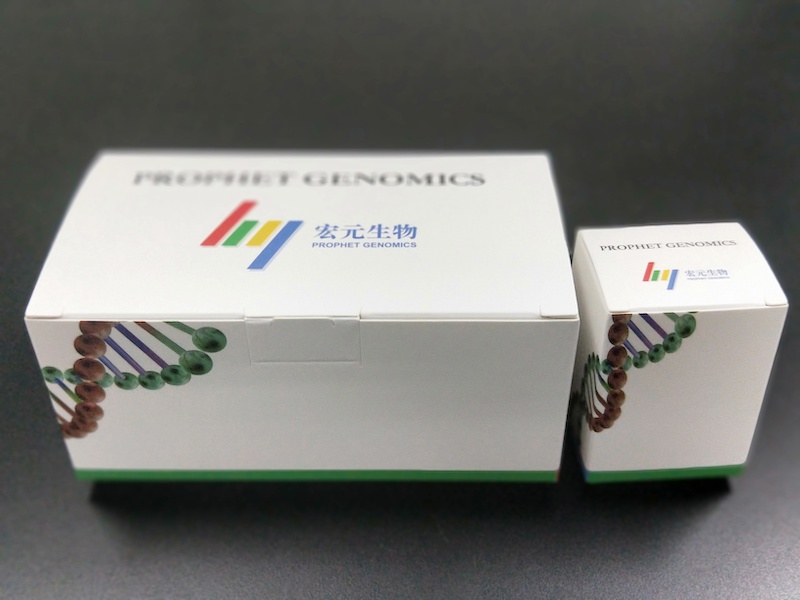 ABUIABACGAAgqqba7QUogtL4zgMwoAY42AQ